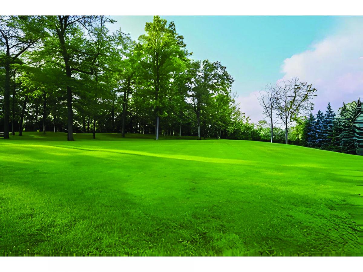 Picture of Residential Land For Sale in Mississauga, Ontario, Canada