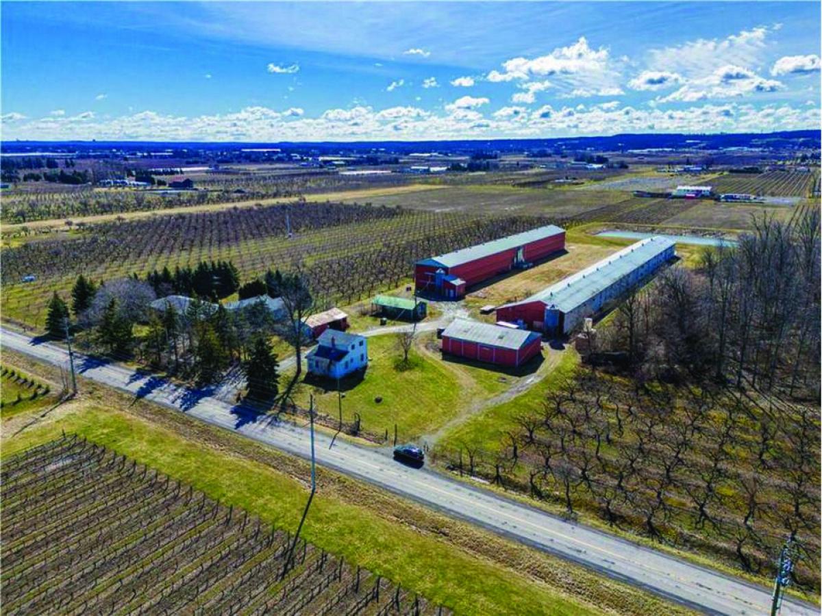 Picture of Farm For Sale in Beamsville, Ontario, Canada