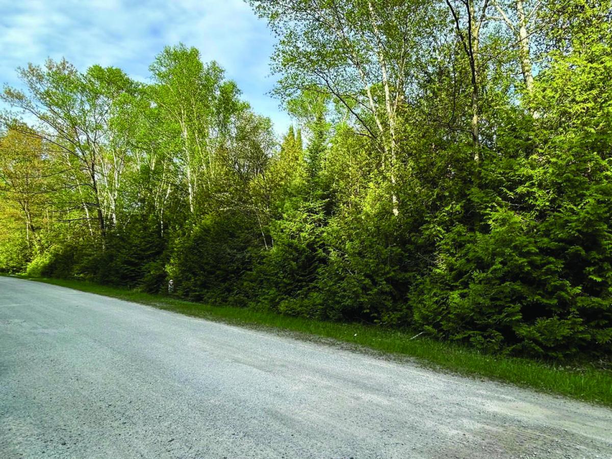 Picture of Residential Land For Sale in Oscoda, Michigan, United States