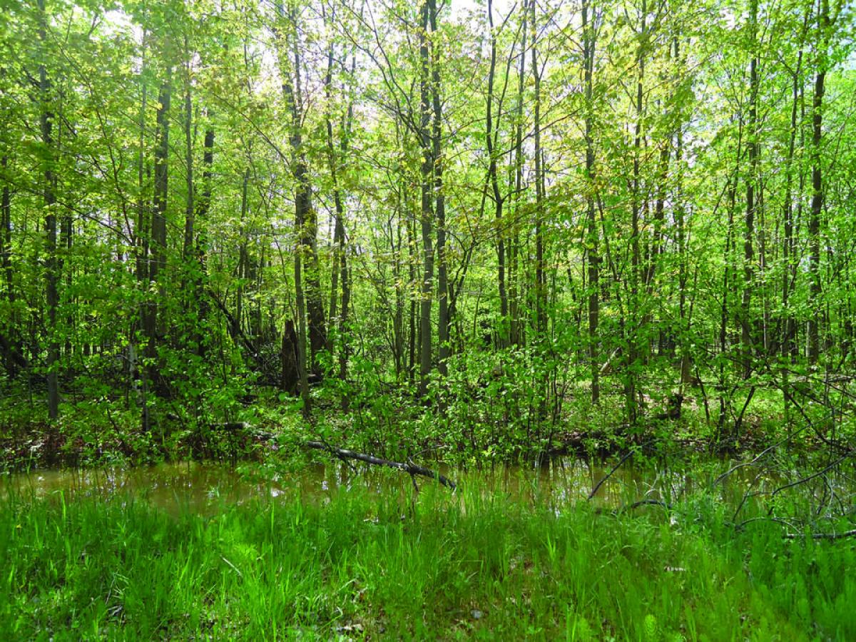 Picture of Residential Land For Sale in Oscoda, Michigan, United States