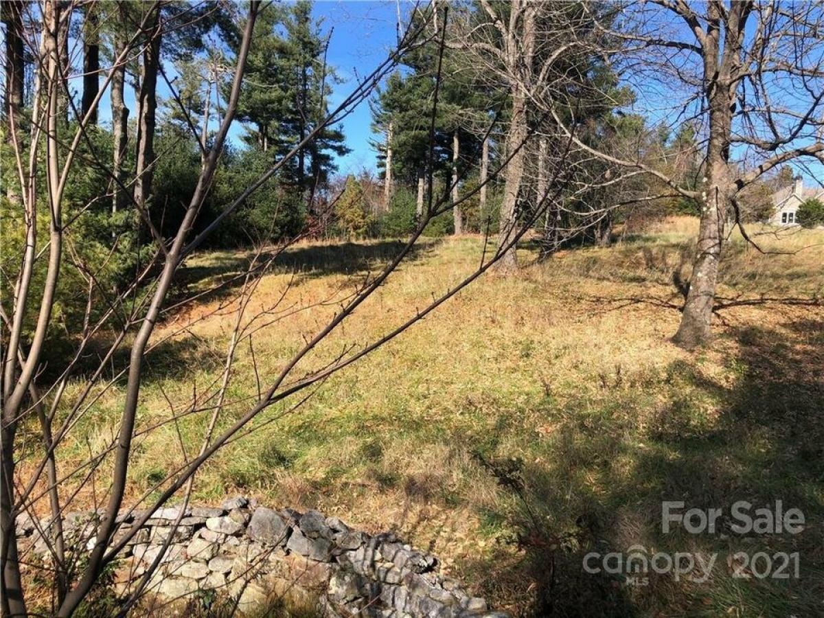 Picture of Residential Land For Sale in Flat Rock, North Carolina, United States