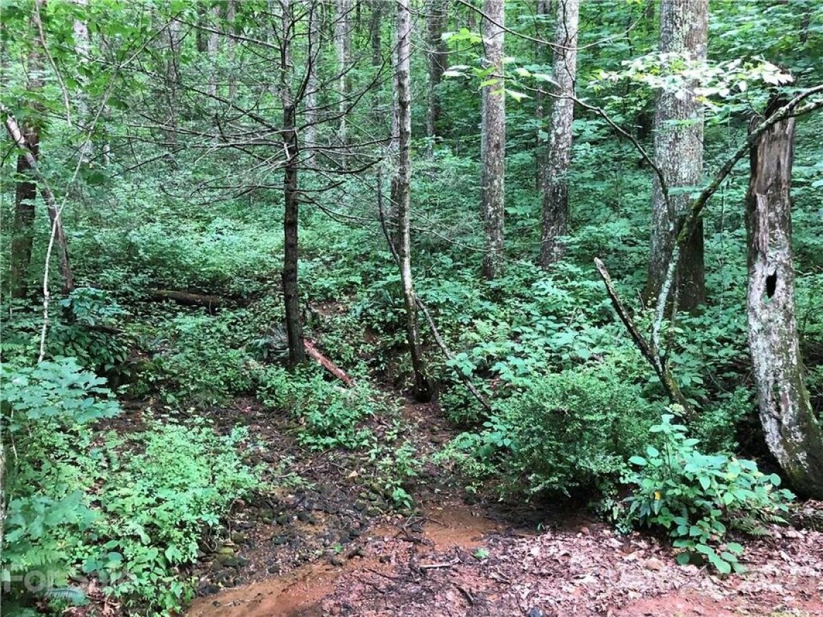 Picture of Residential Land For Sale in Flat Rock, North Carolina, United States