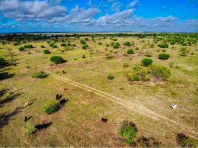 Residential Land For Sale in 