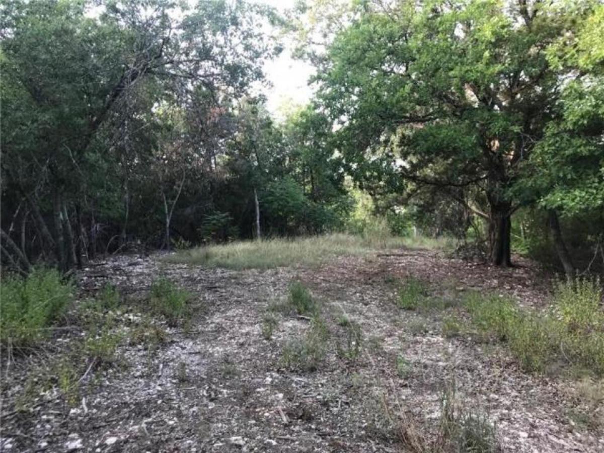 Picture of Residential Land For Sale in Ocee, Texas, United States