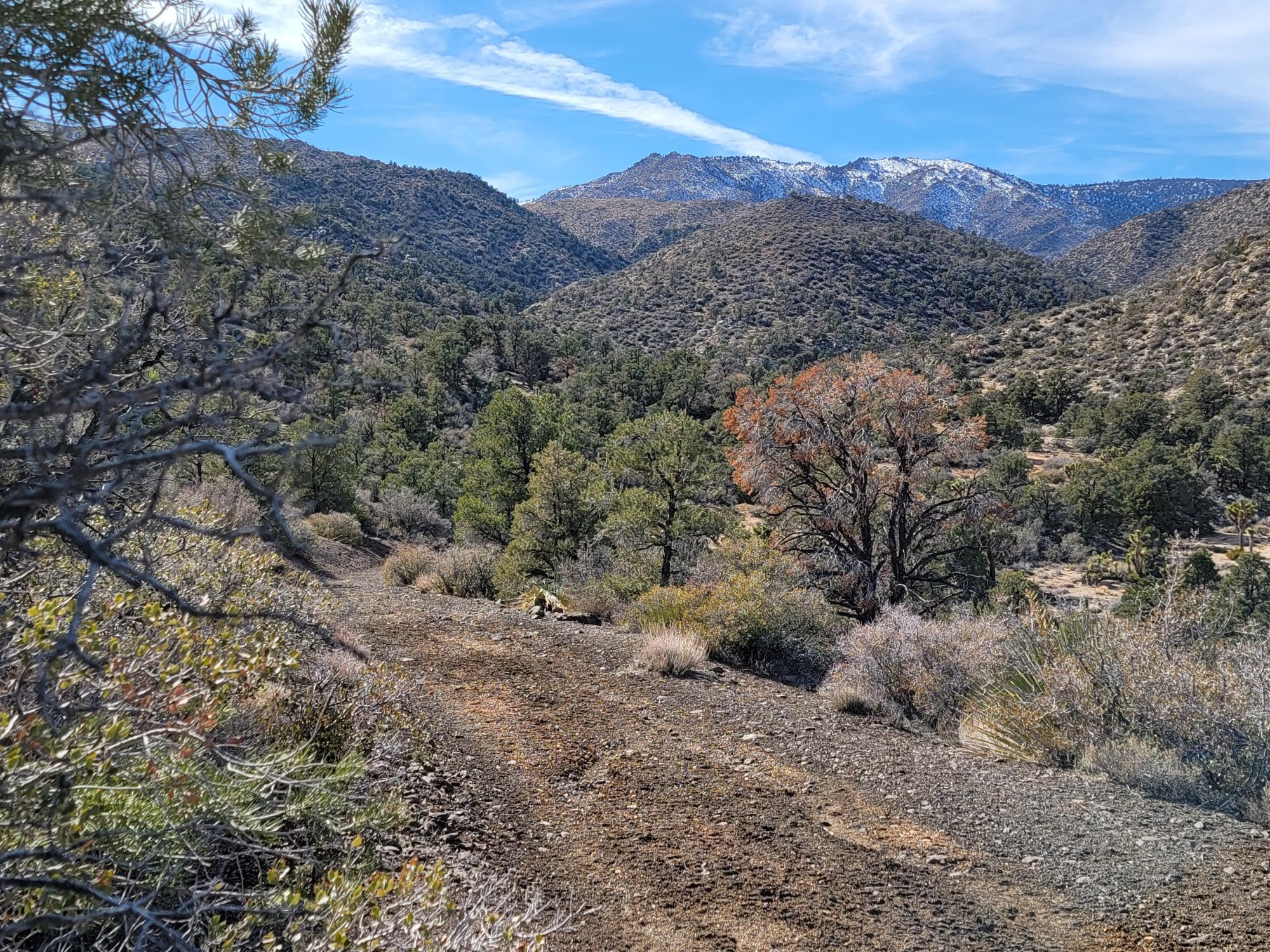 Picture of Raw Land For Sale in Pioneertown, California, United States