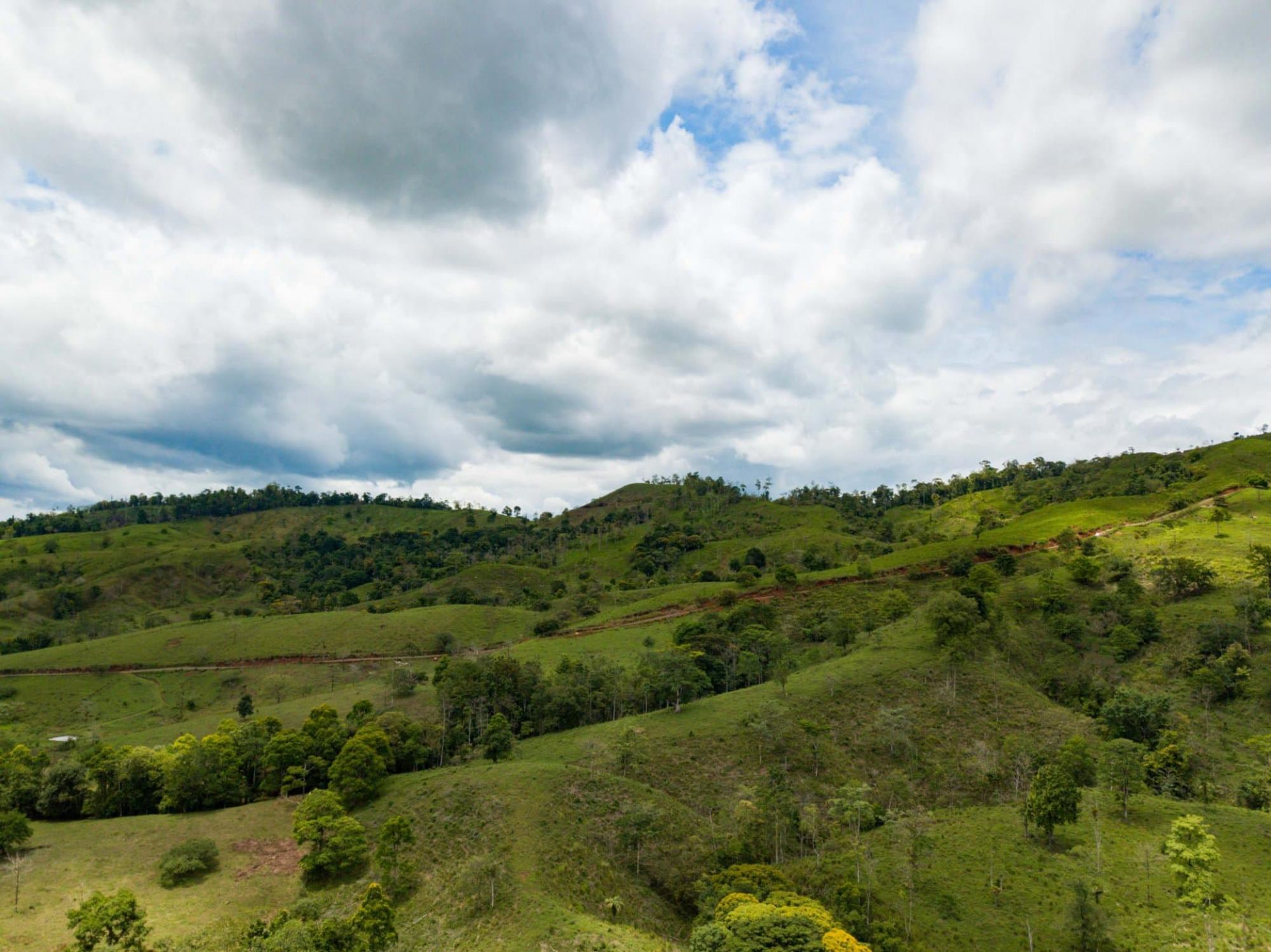 Cuatro Bocas, Upala, Alajuela, Costa Rica | Agricultural For Sale at ...