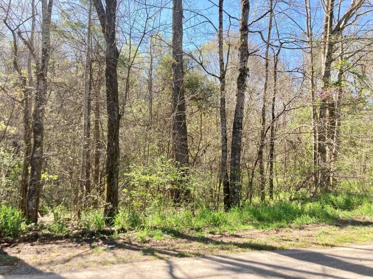 Picture of Farm For Sale in Sparta, Tennessee, United States