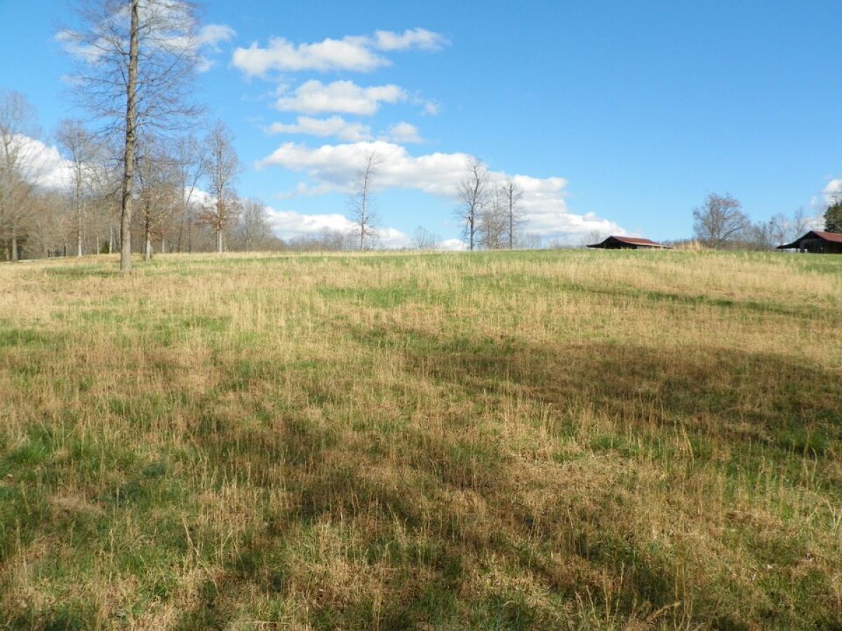 Picture of Residential Land For Sale in Walling, Tennessee, United States