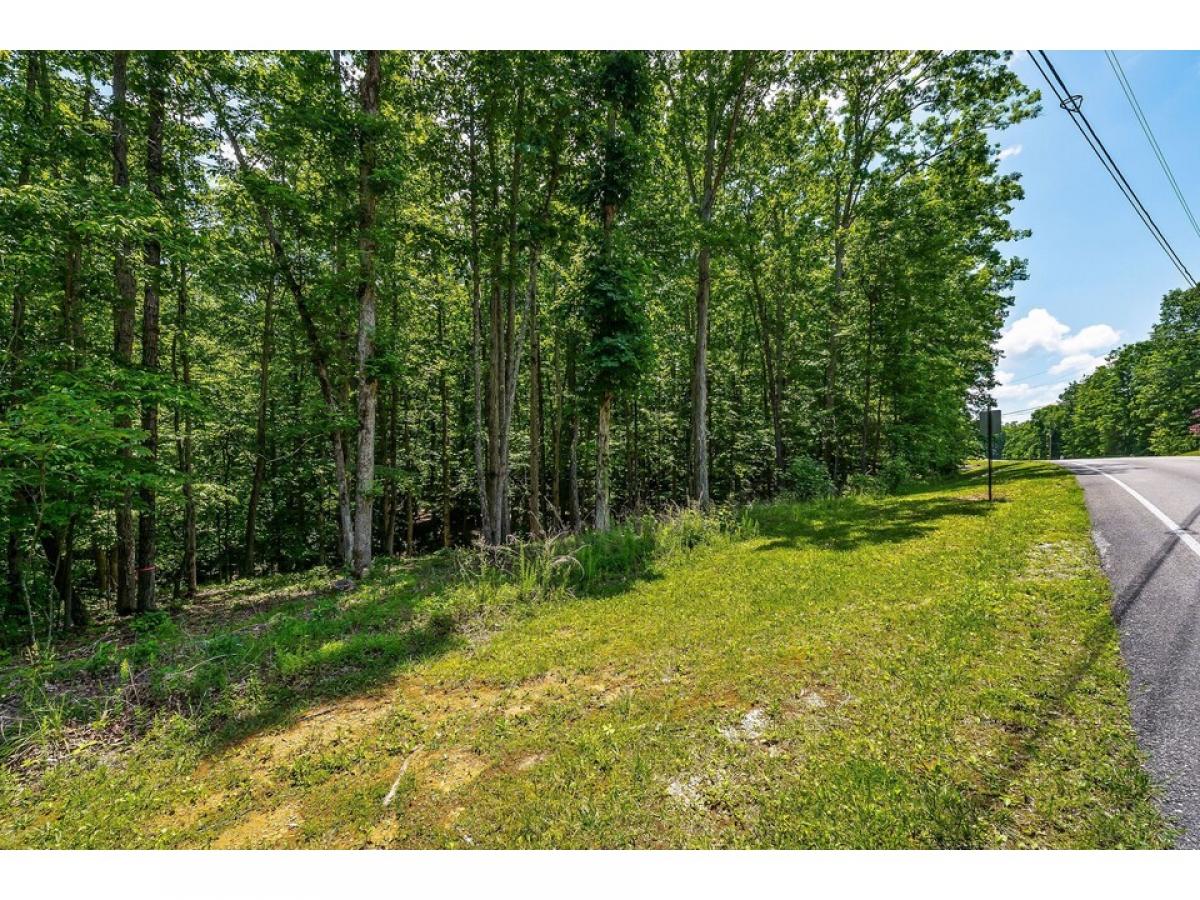 Picture of Residential Land For Sale in Sparta, Tennessee, United States