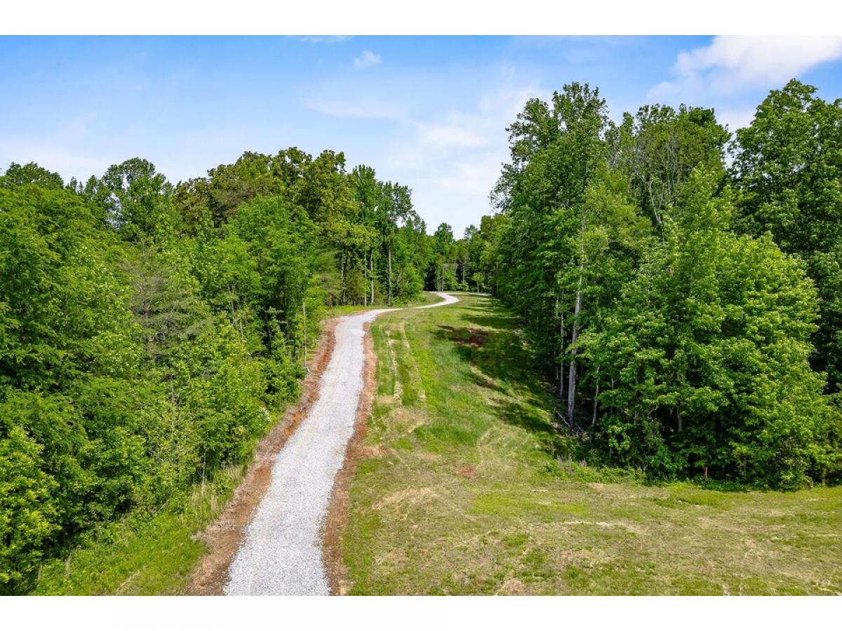 Picture of Residential Land For Sale in Smithville, Tennessee, United States