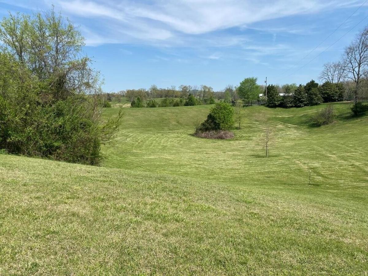 Picture of Residential Land For Sale in Rock Island, Tennessee, United States