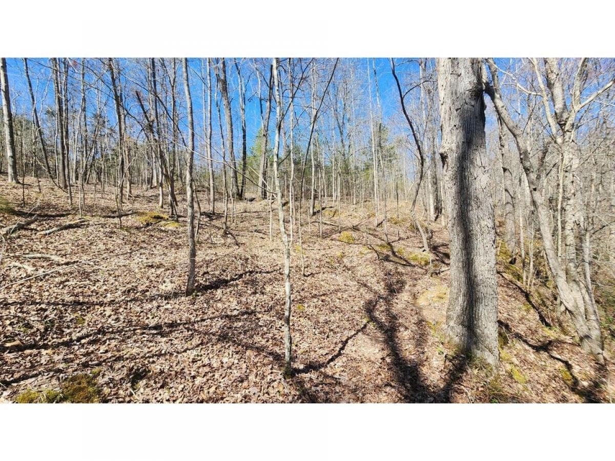 Picture of Residential Land For Sale in Smithville, Tennessee, United States