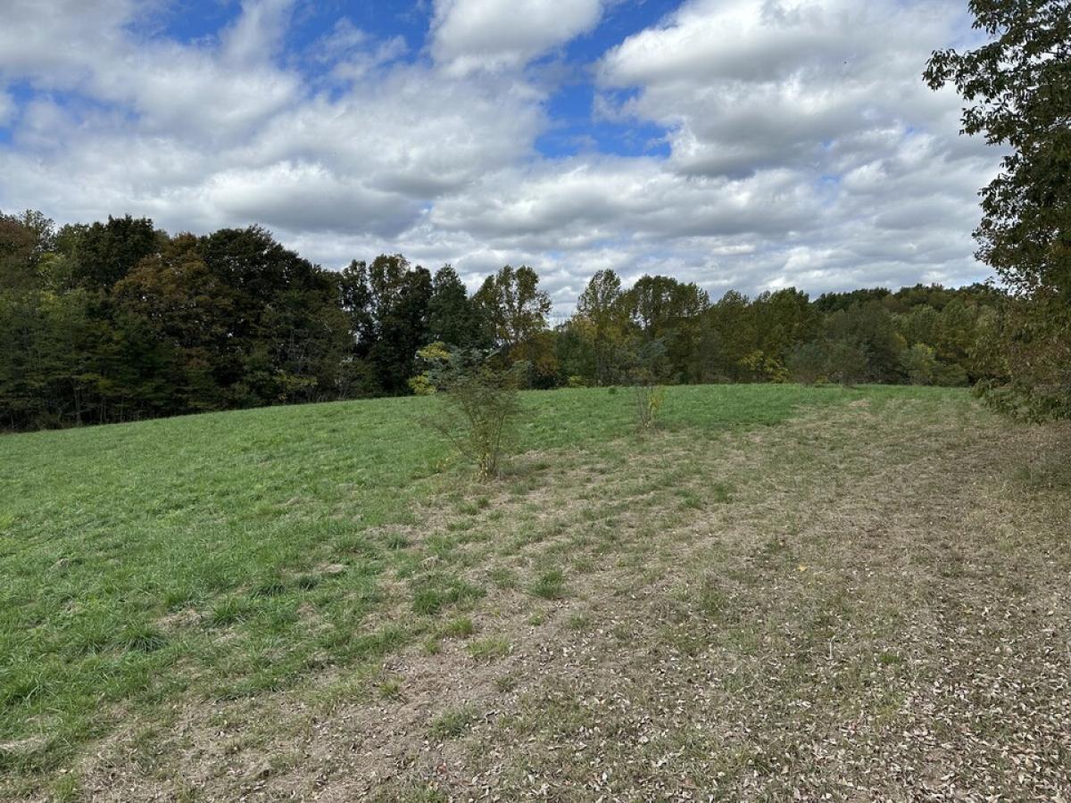 Picture of Residential Land For Sale in Baxter, Tennessee, United States