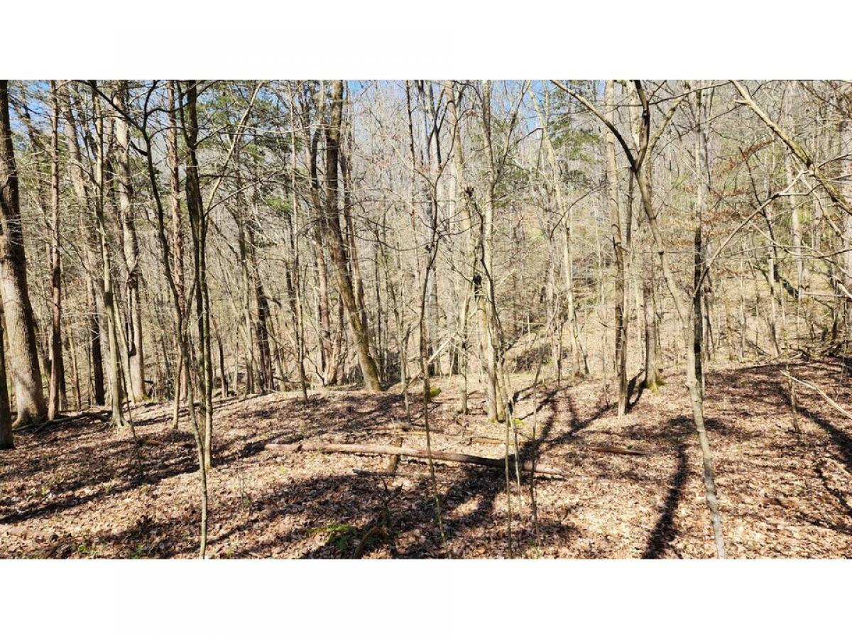 Picture of Residential Land For Sale in Smithville, Tennessee, United States