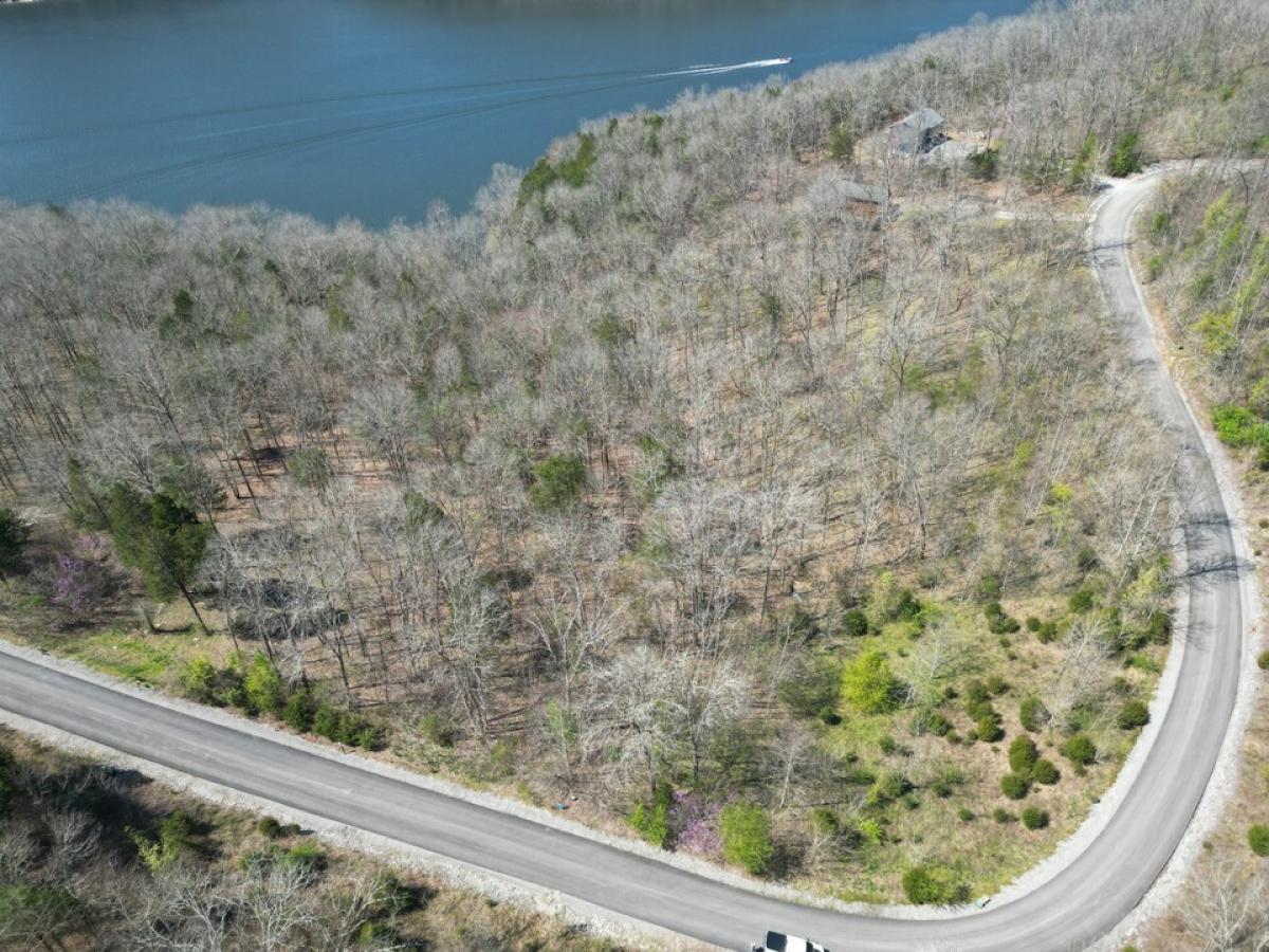 Picture of Residential Land For Sale in Smithville, Tennessee, United States