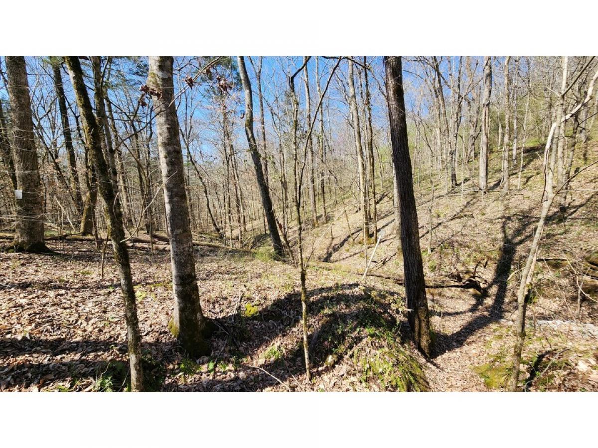 Picture of Residential Land For Sale in Smithville, Tennessee, United States