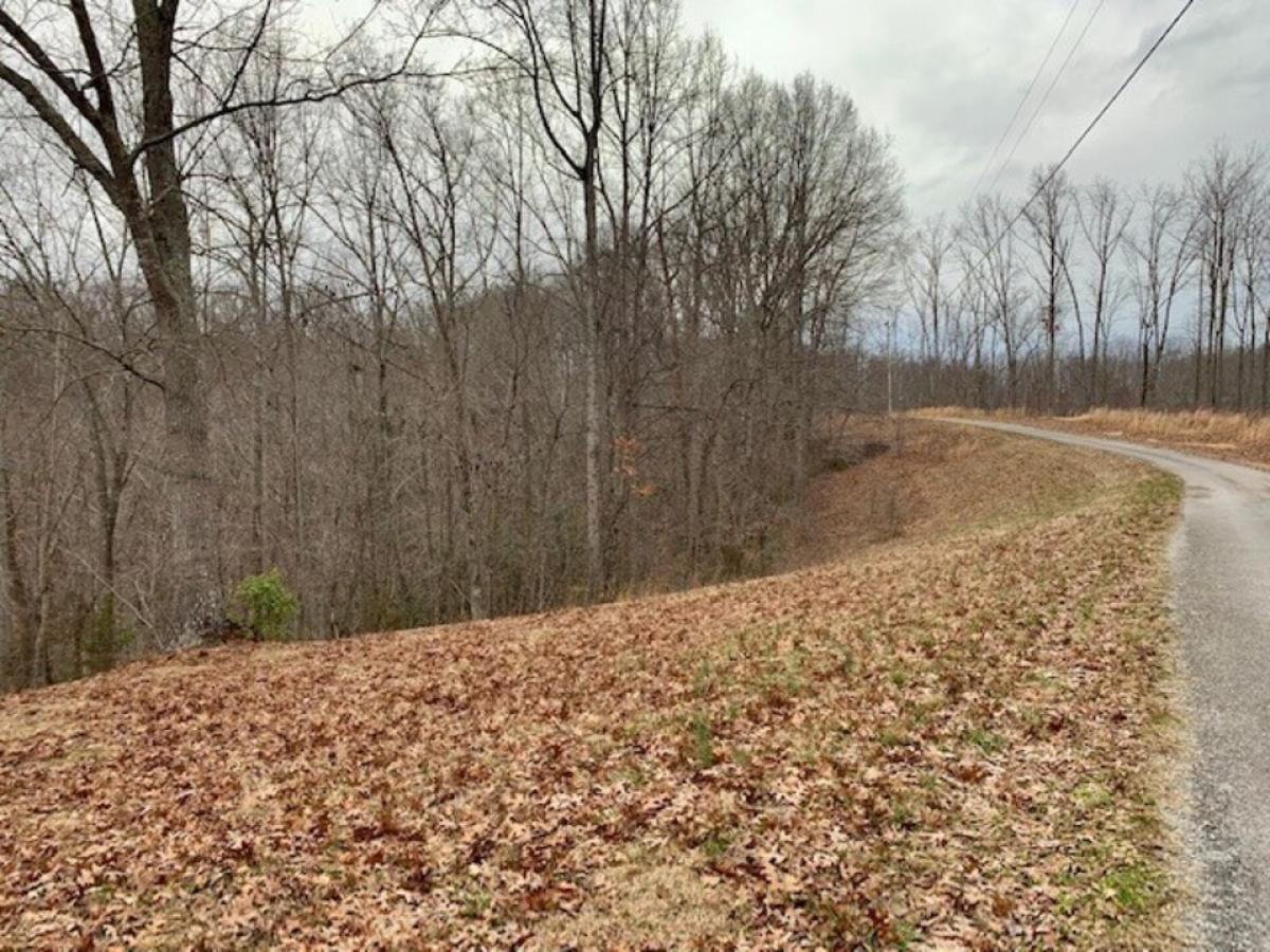 Picture of Residential Land For Sale in Smithville, Tennessee, United States