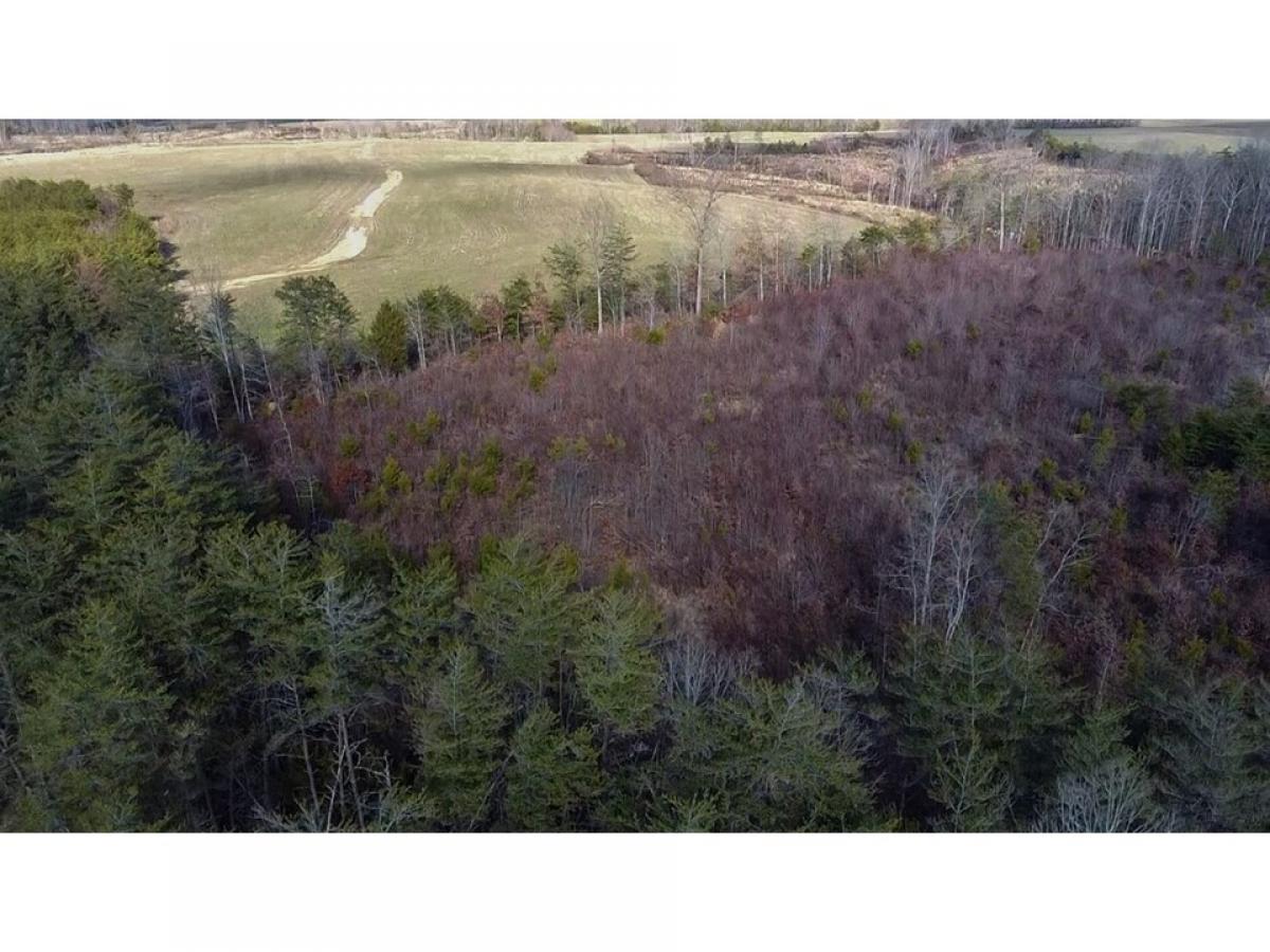 Picture of Residential Land For Sale in Spencer, Tennessee, United States