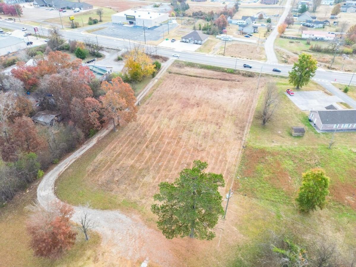 Picture of Residential Land For Sale in Trenton, Georgia, United States