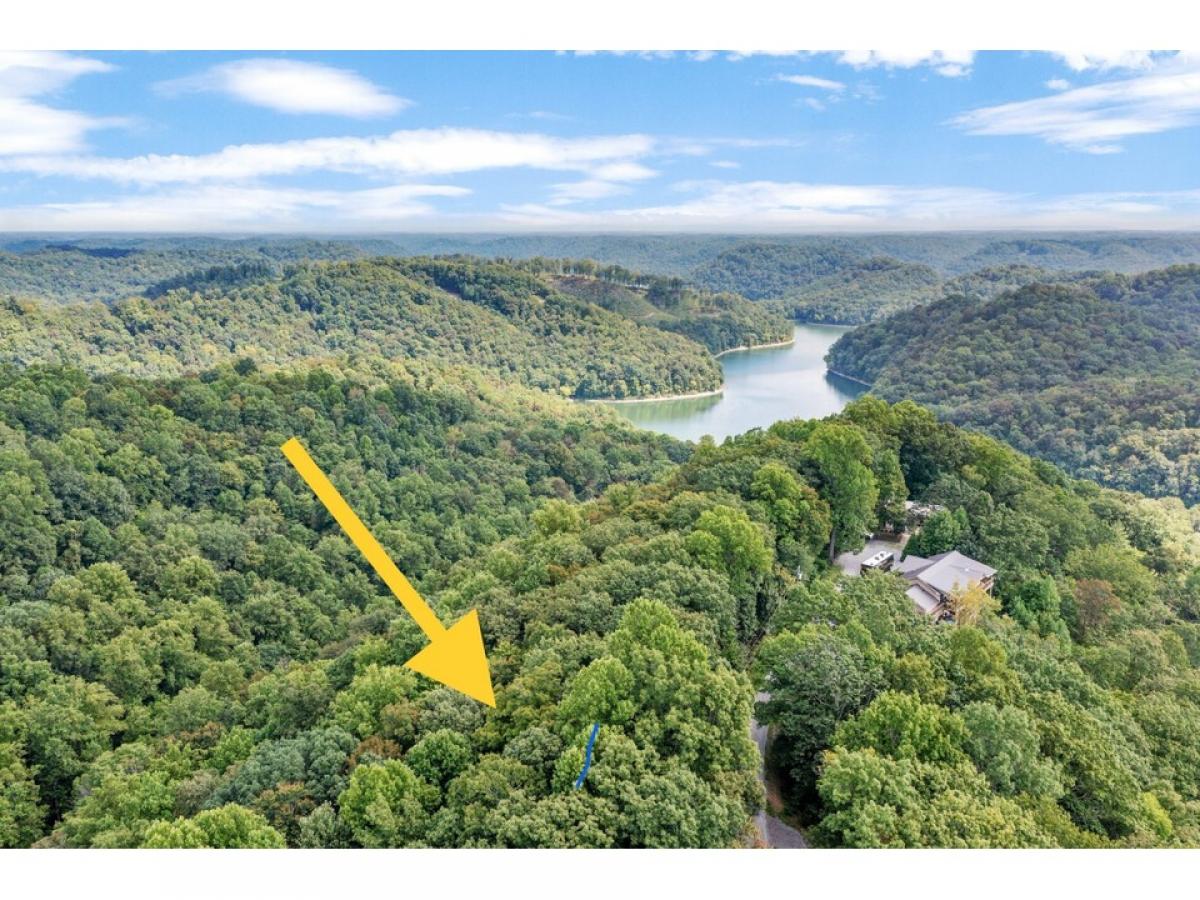 Picture of Residential Land For Sale in Smithville, Tennessee, United States