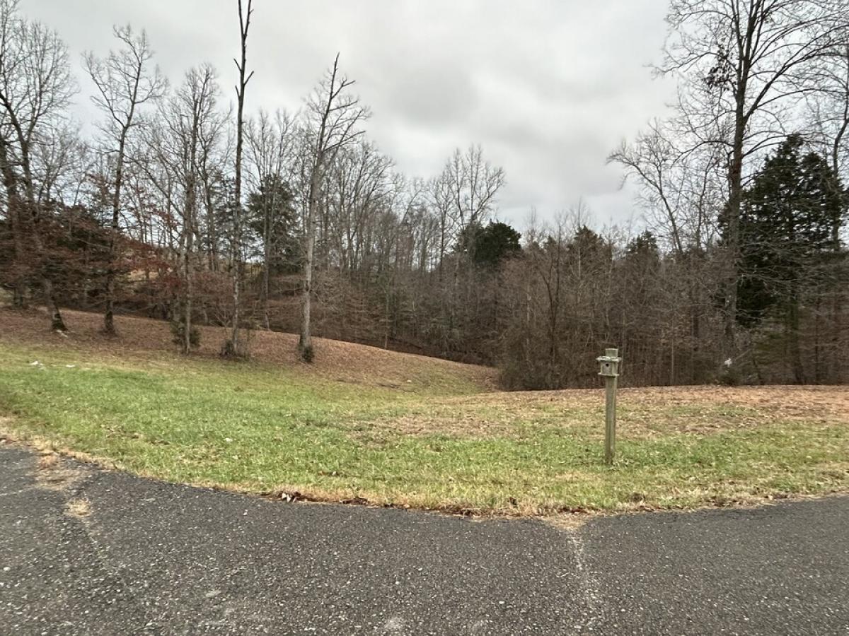 Picture of Residential Land For Sale in Byrdstown, Tennessee, United States