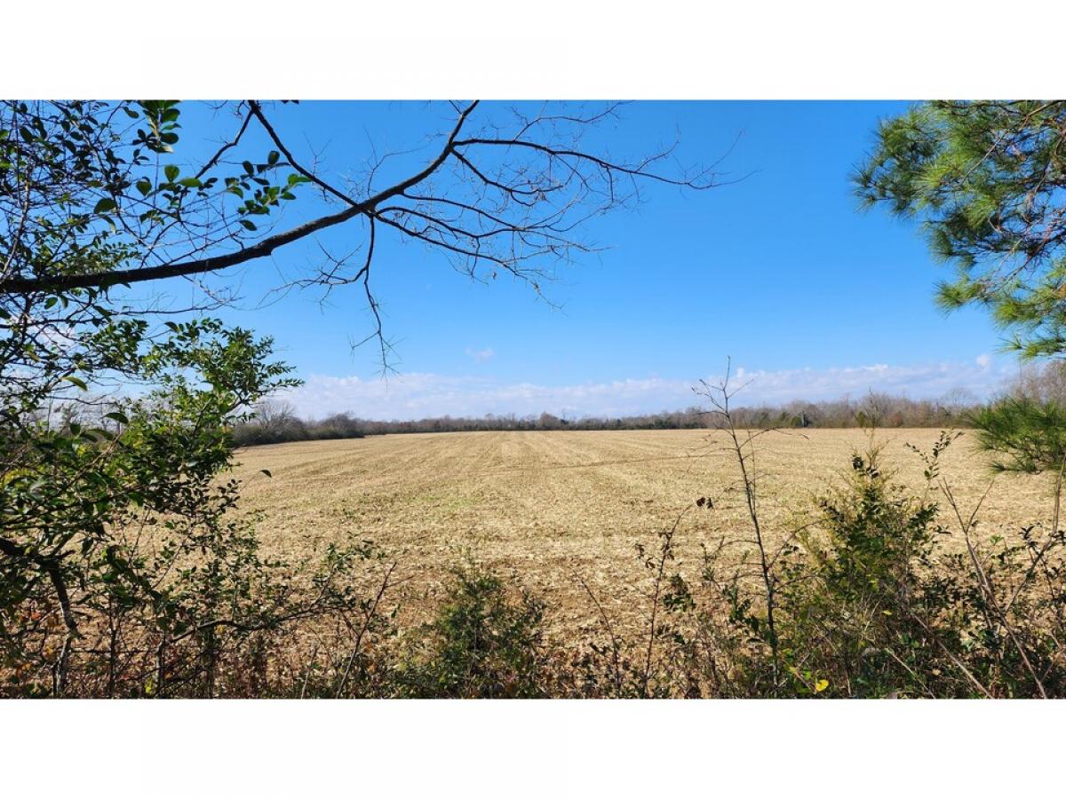 Picture of Residential Land For Sale in Smithville, Tennessee, United States