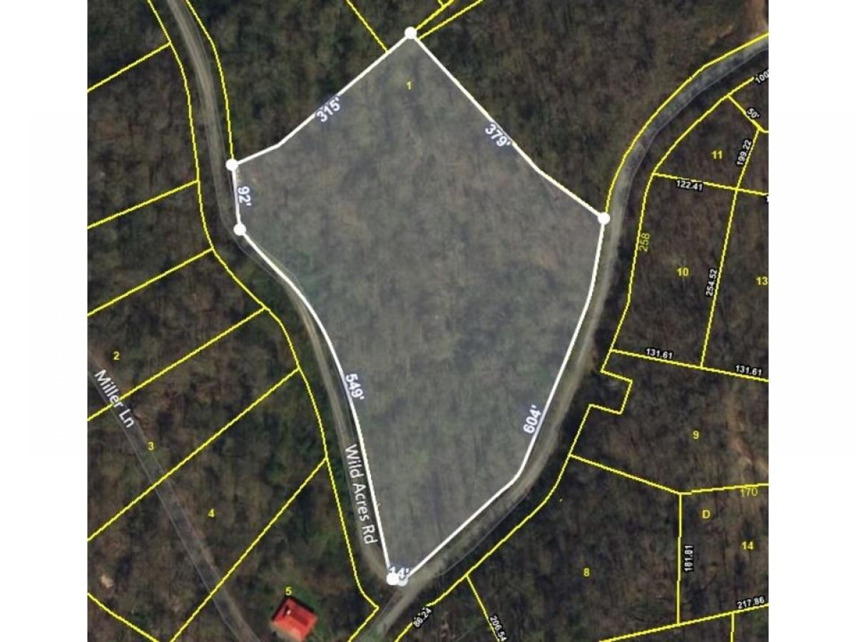 Picture of Residential Land For Sale in Gainesboro, Tennessee, United States