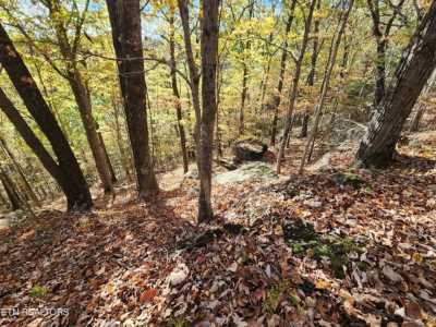 Residential Land For Sale in Celina, Tennessee