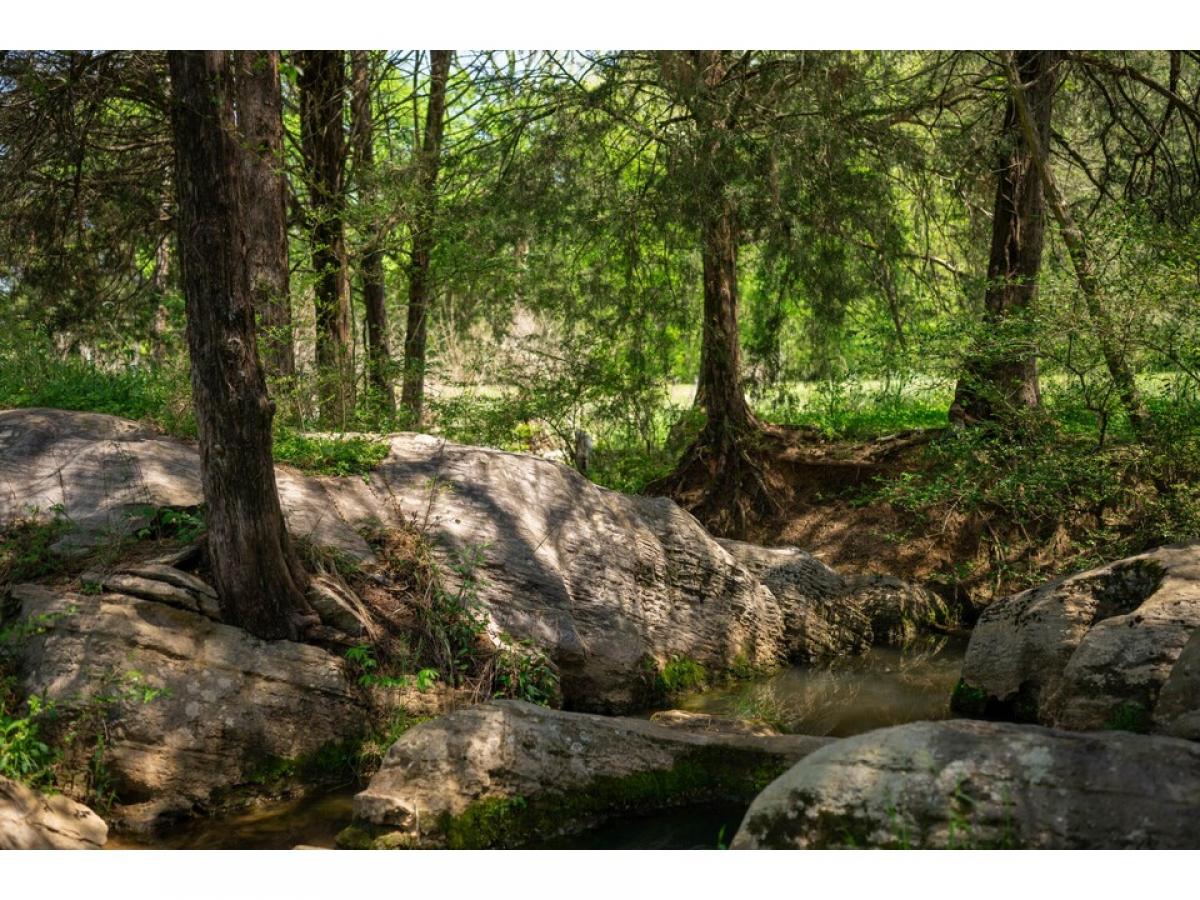 Picture of Farm For Sale in Pikeville, Tennessee, United States