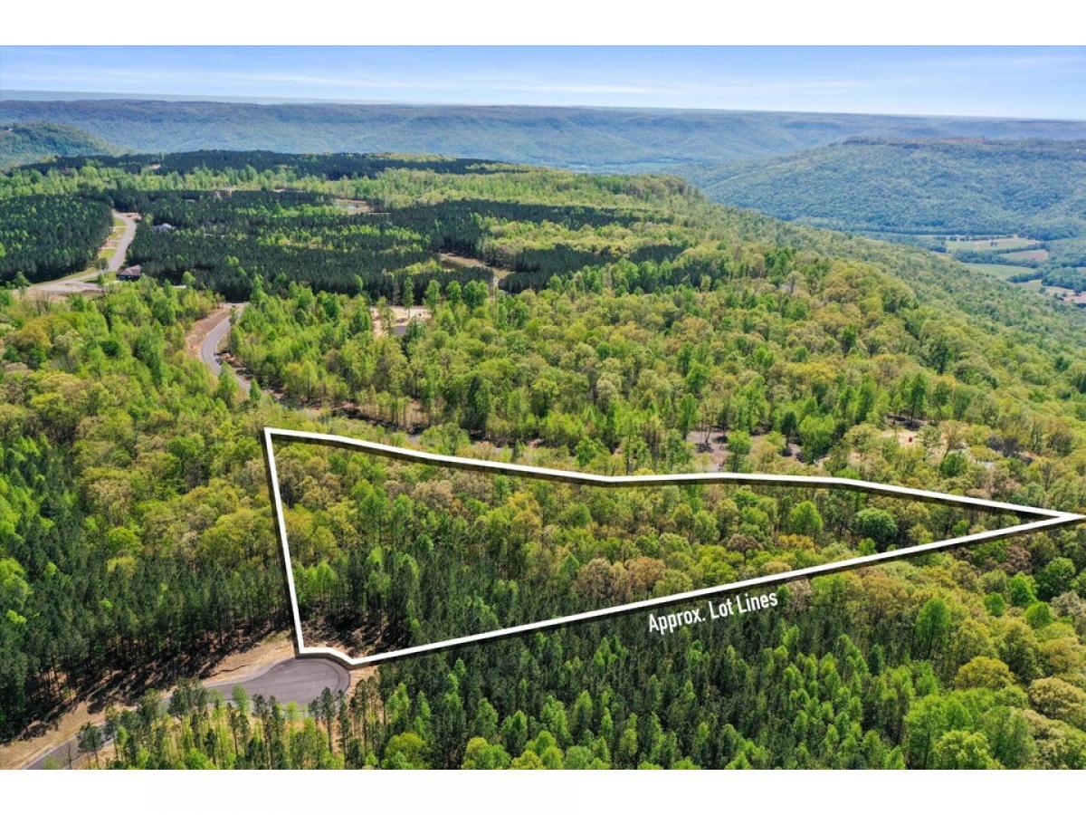 Picture of Residential Land For Sale in Jasper, Tennessee, United States