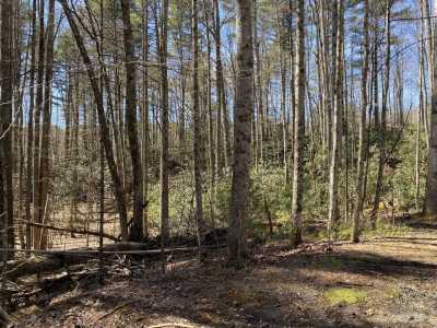 Residential Land For Sale in Butler, Tennessee