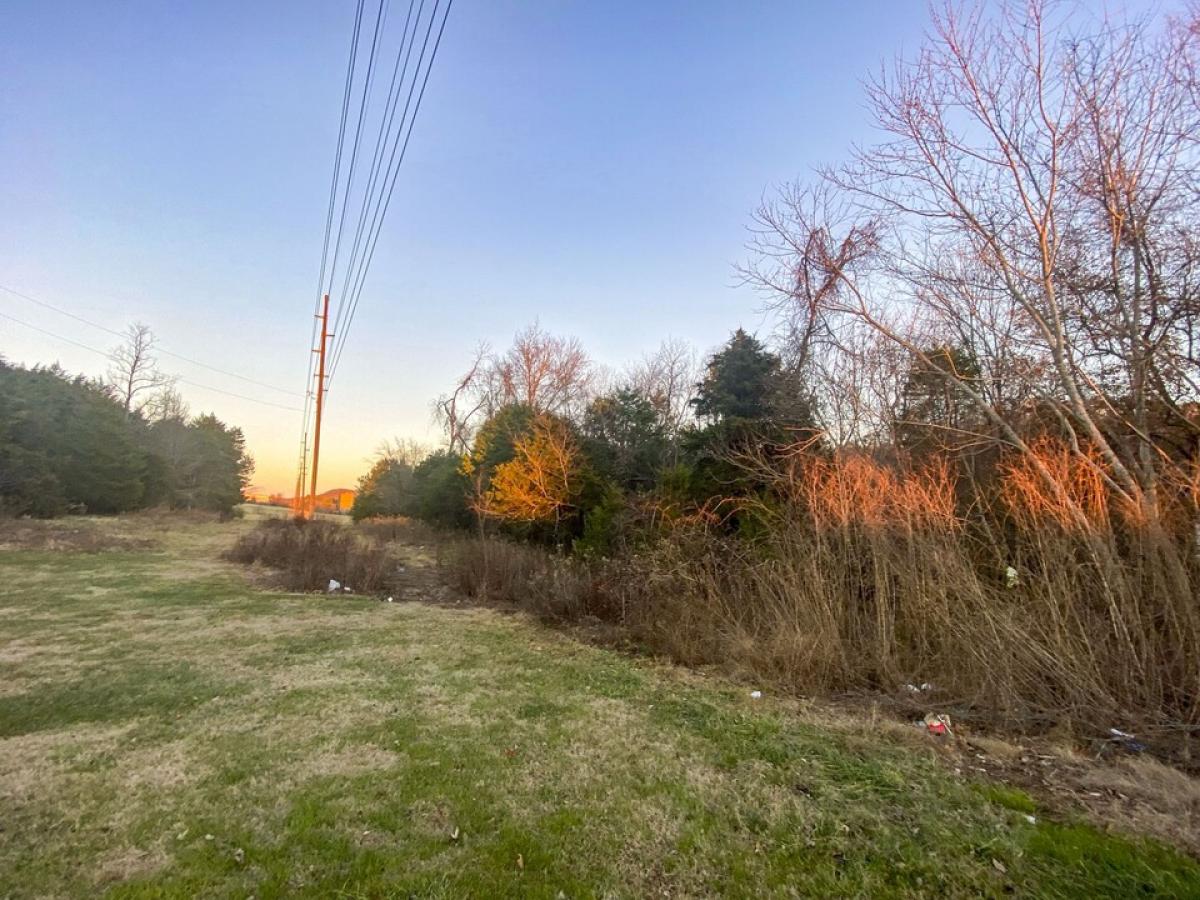 Picture of Residential Land For Sale in Rogersville, Tennessee, United States