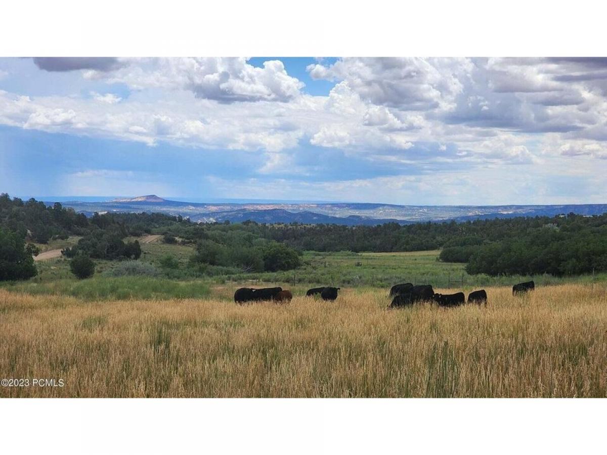 Picture of Home For Sale in Mount Carmel, Utah, United States