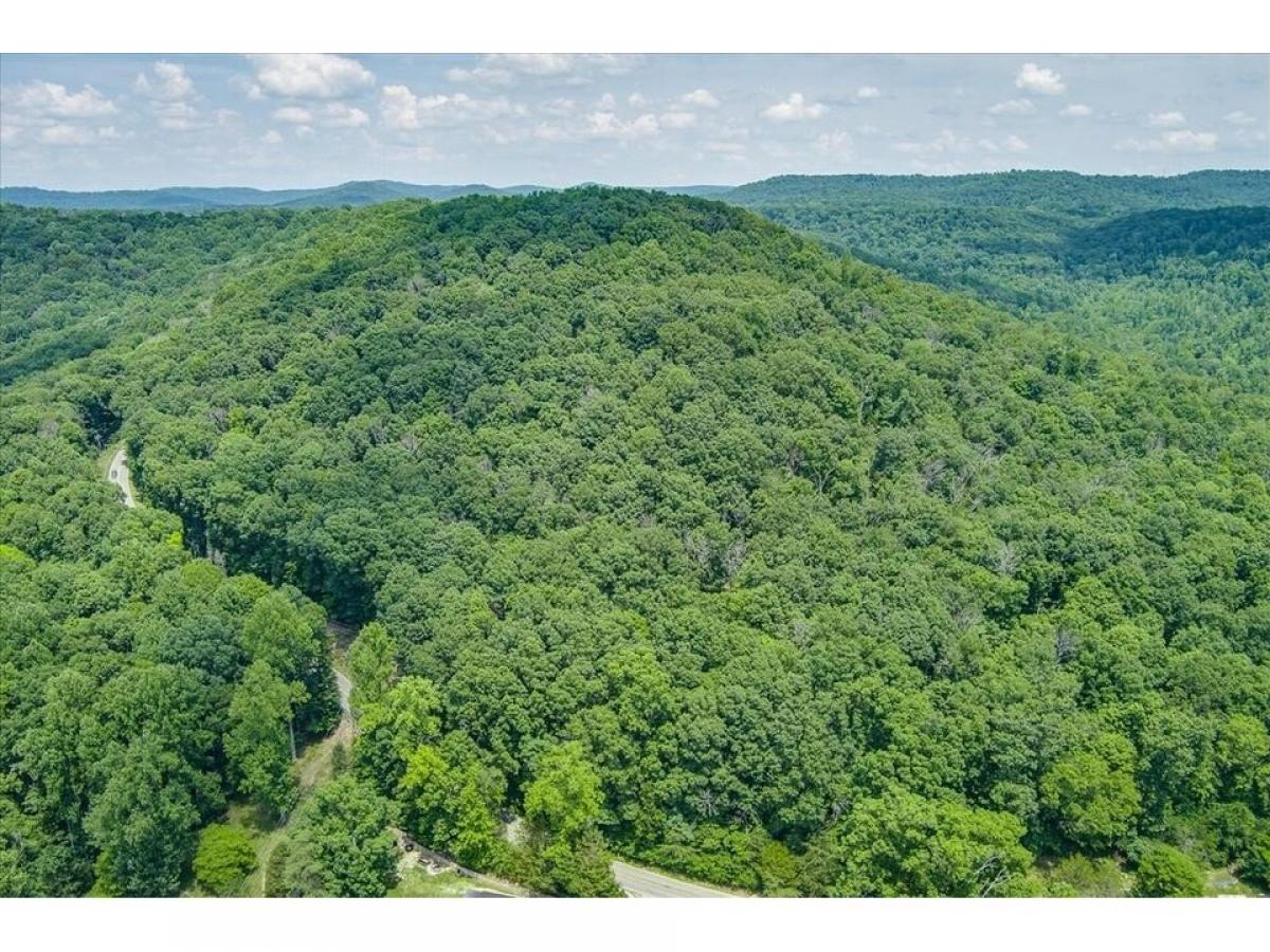 Picture of Residential Land For Sale in Cookeville, Tennessee, United States