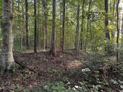 Residential Land For Sale in Jamestown, Tennessee