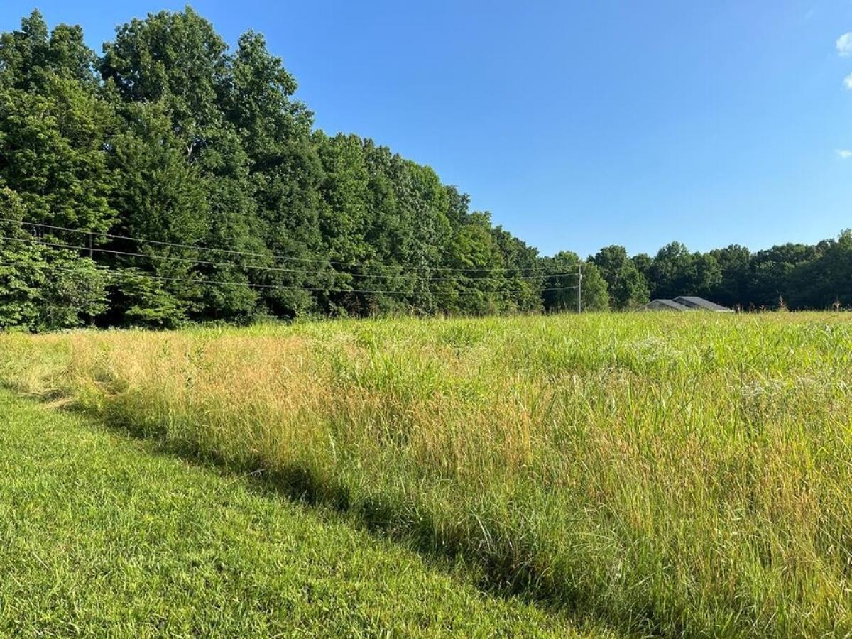 Picture of Residential Land For Sale in Gainesboro, Tennessee, United States