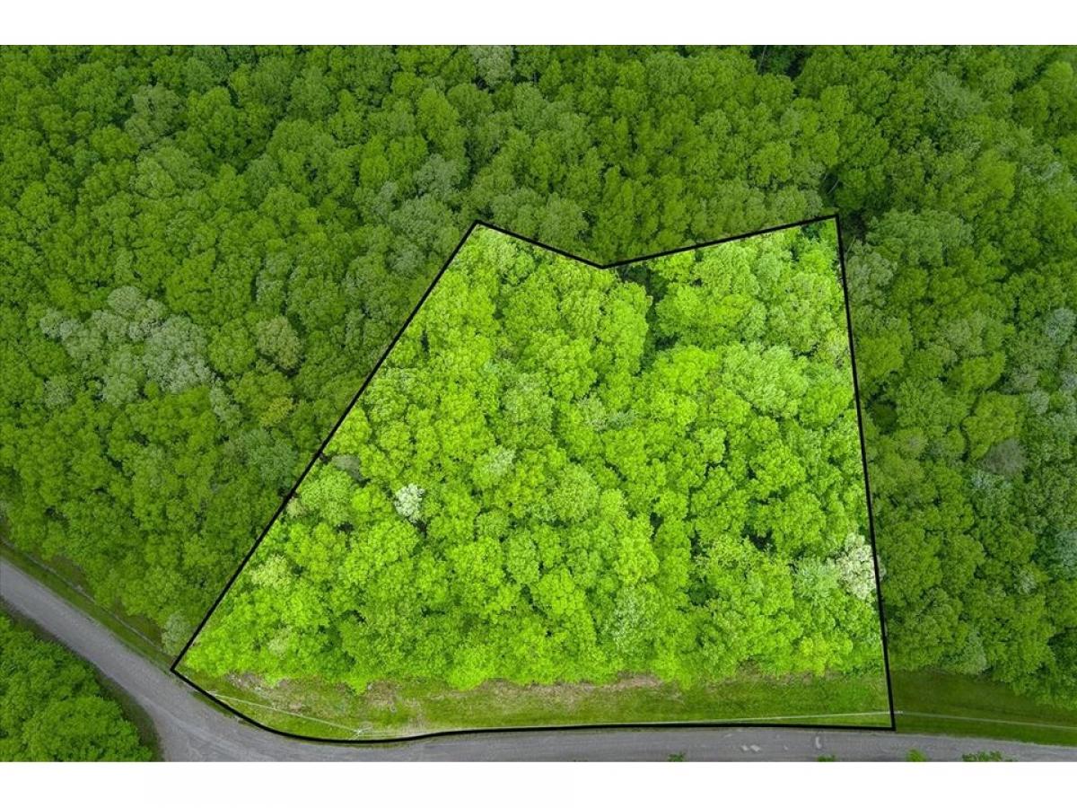 Picture of Residential Land For Sale in Monterey, Tennessee, United States