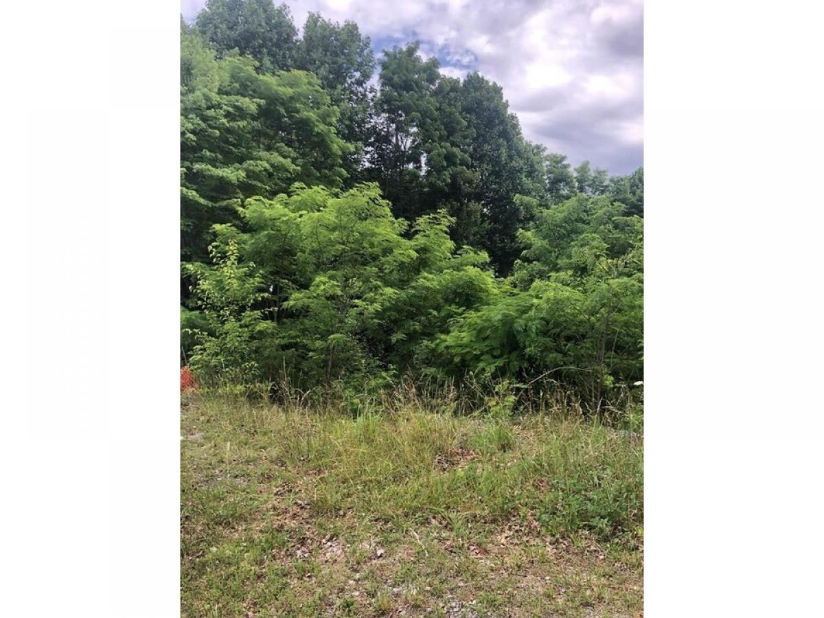 Picture of Residential Land For Sale in Spencer, Tennessee, United States