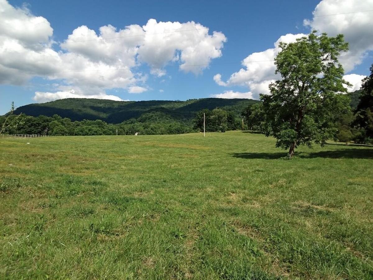 Picture of Residential Land For Sale in Pikeville, Tennessee, United States