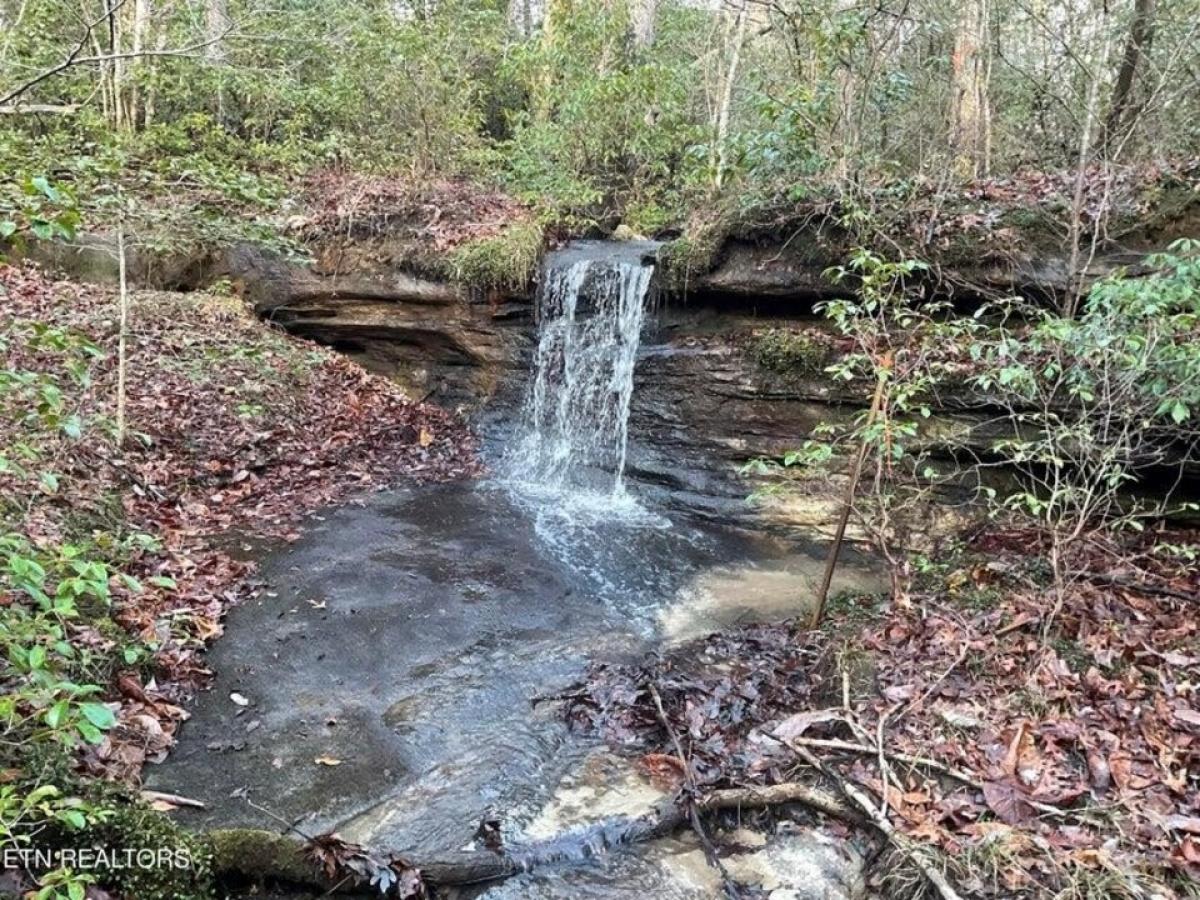 Picture of Residential Land For Sale in Monterey, Tennessee, United States