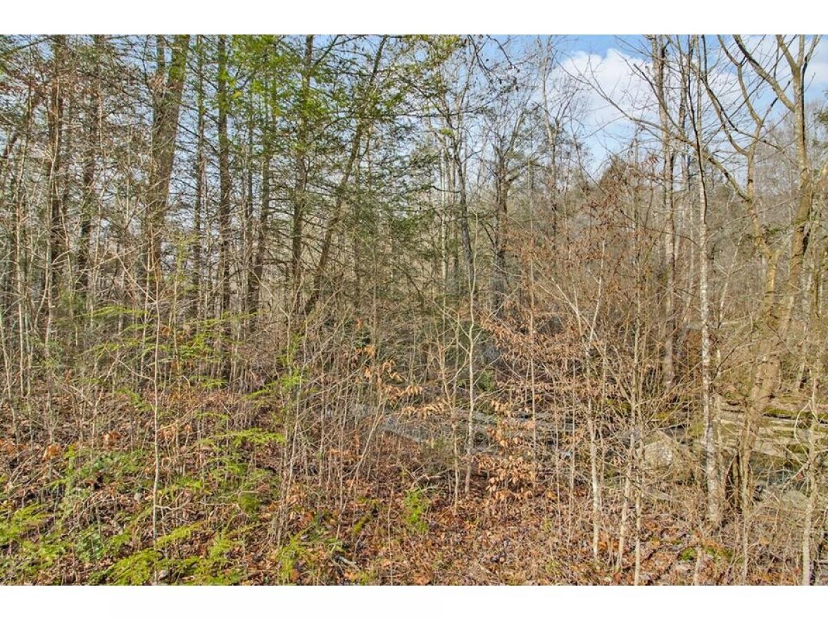 Picture of Residential Land For Sale in Jamestown, Tennessee, United States