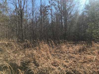 Residential Land For Sale in Spencer, Tennessee