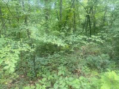 Residential Land For Sale in Celina, Tennessee