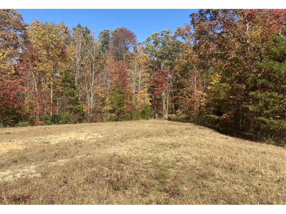 Picture of Residential Land For Sale in Crawford, Tennessee, United States