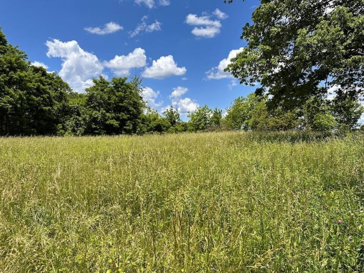 Picture of Residential Land For Sale in Jamestown, Tennessee, United States