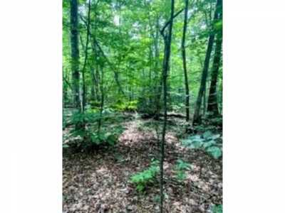 Residential Land For Sale in Spencer, Tennessee