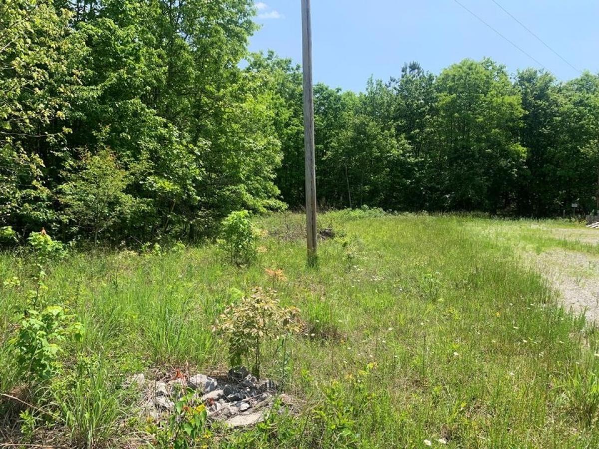 Picture of Residential Land For Sale in Spencer, Tennessee, United States