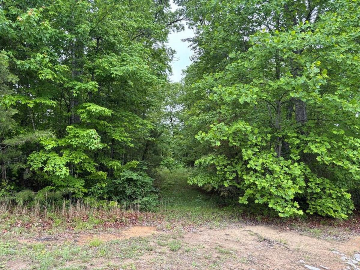 Picture of Residential Land For Sale in Jamestown, Tennessee, United States