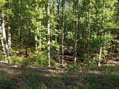 Residential Land For Sale in Monterey, Tennessee