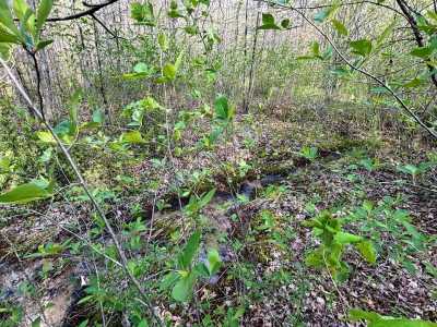 Residential Land For Sale in Wilder, Tennessee